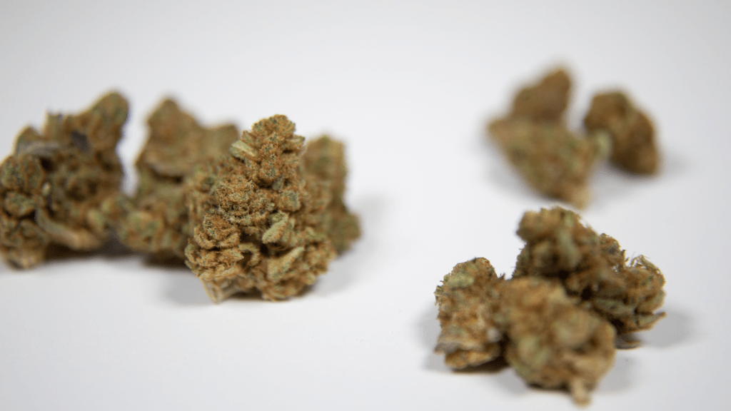 Cannabis in Puerto Rico: Current Legal Status and Future Prospects